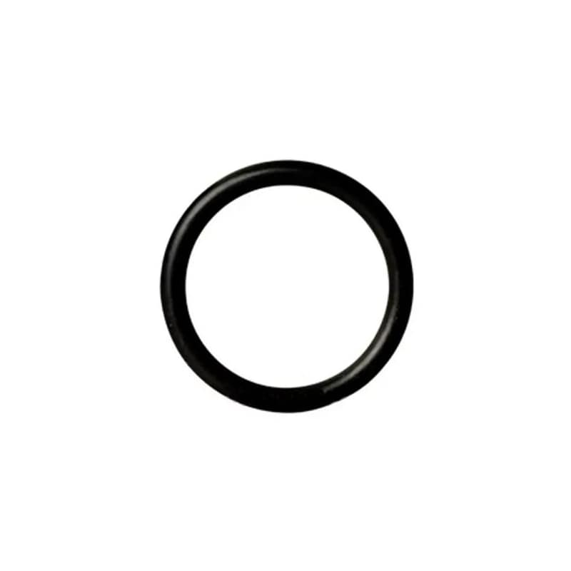 O Ring Swing 0181.6 Fv