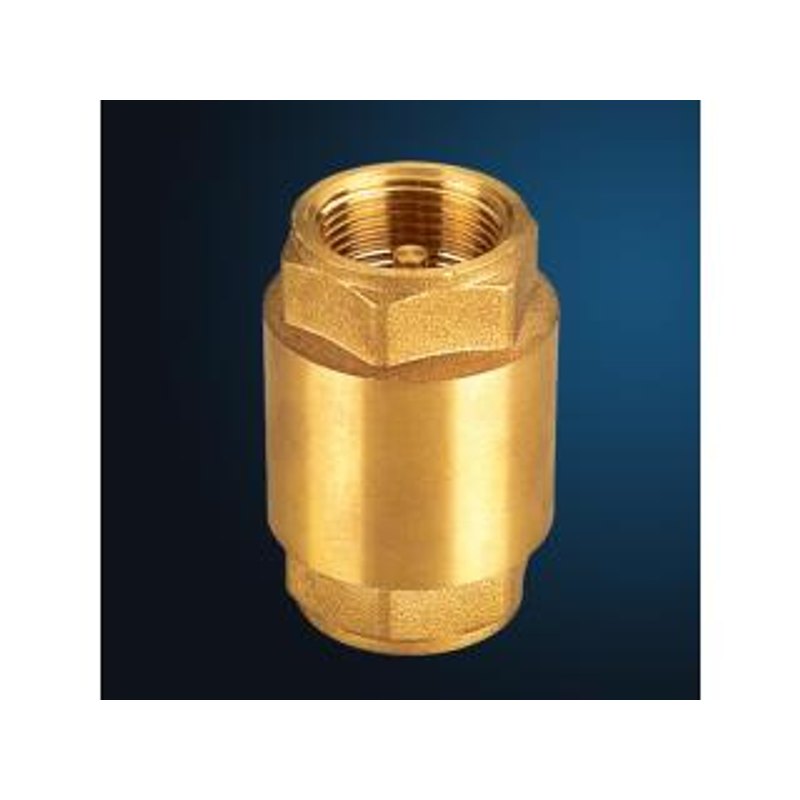 Valvula Retencion Bronce Con Resorte 1 1/4 Megapol