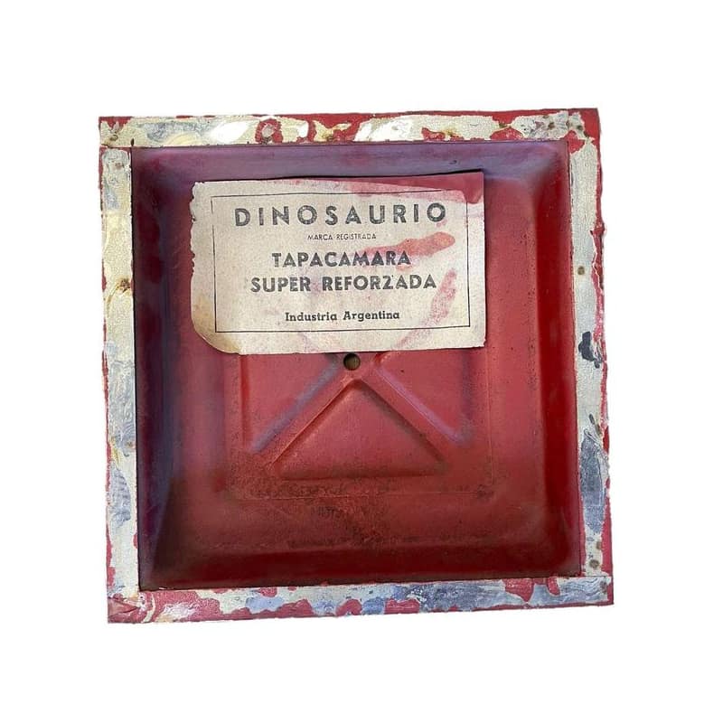 Tapa Cámara 20 X 20 Dinosaurio