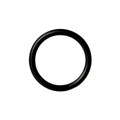 O Ring Swing 0181.6 Fv
