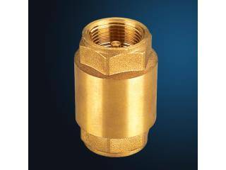 Valvula Retencion Bronce C/Resorte 11/2 Megapol