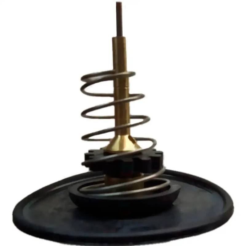 Reparacion 1B Conjunto Sensor Flujo Rowa