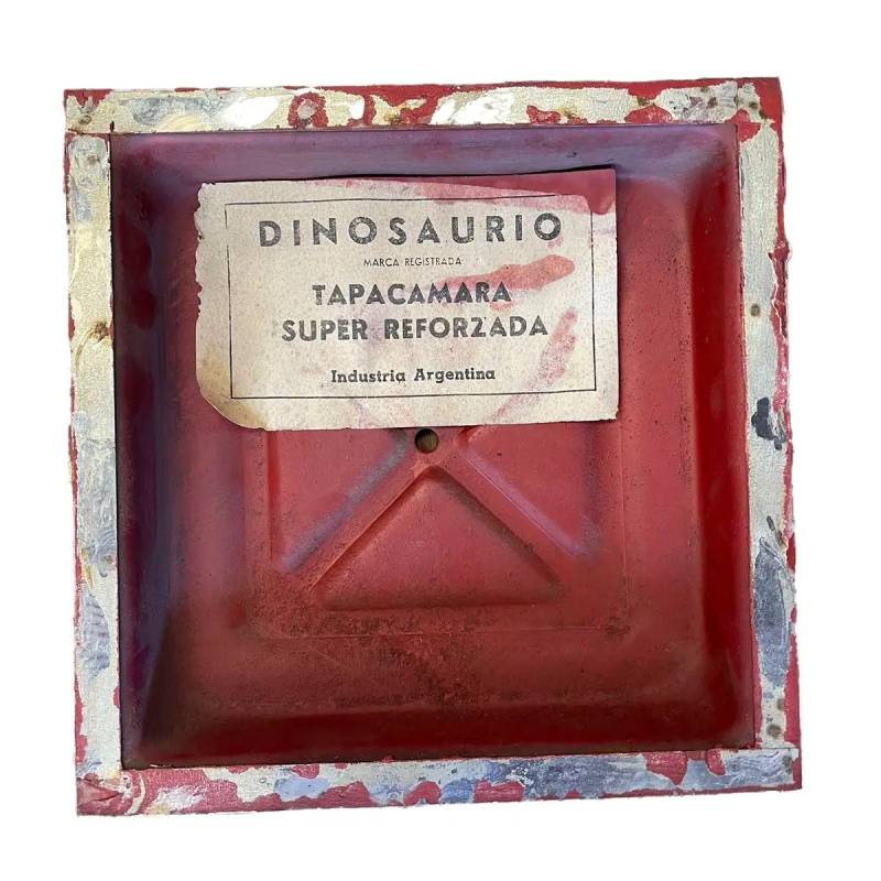 Tapa Camara 20 X 20 Dinosaurio Tapa Camara